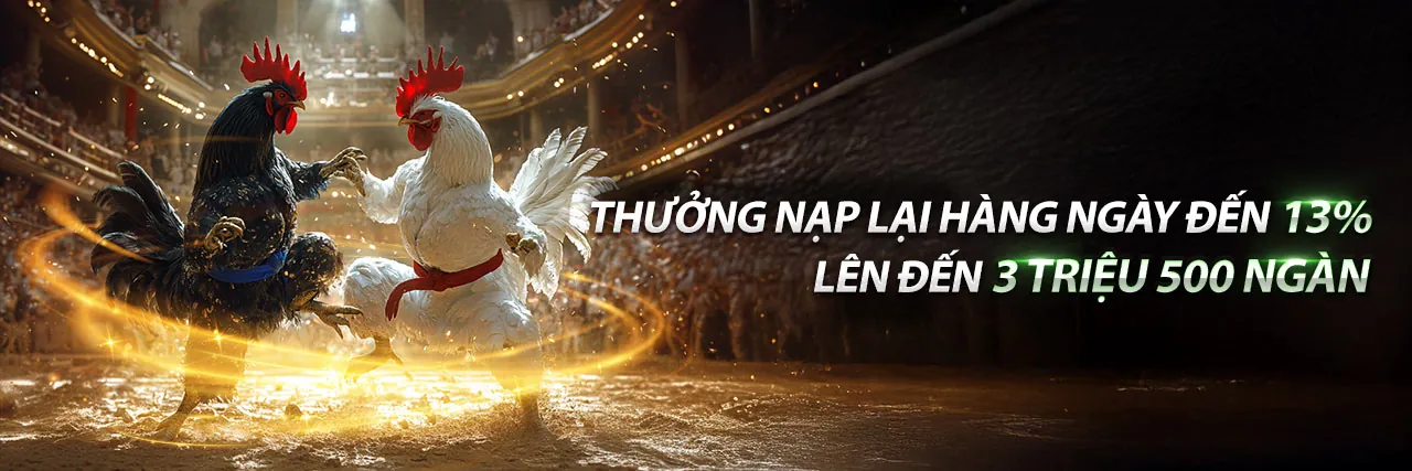 Đá gà trực tuyến sôi động tại 188bet 250 win